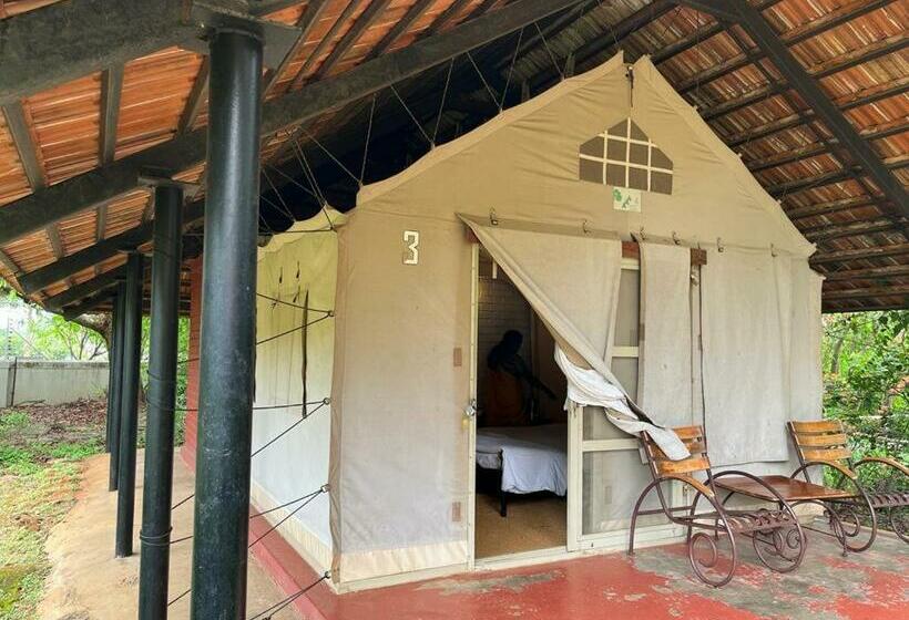 Standard Tent, Olive Farm @ Embassy International Riding School