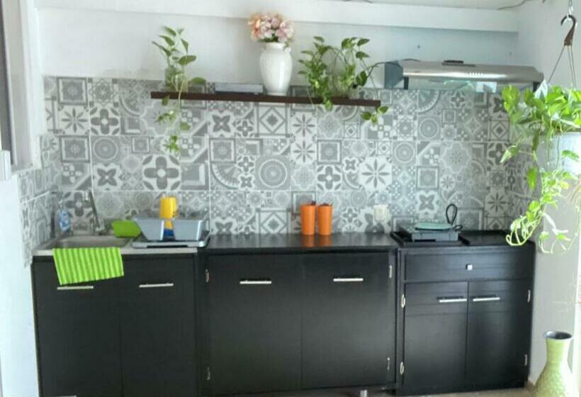 经济房, Suites Apodaca