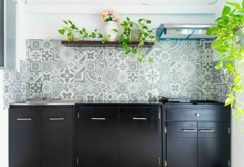 经济房, Suites Apodaca