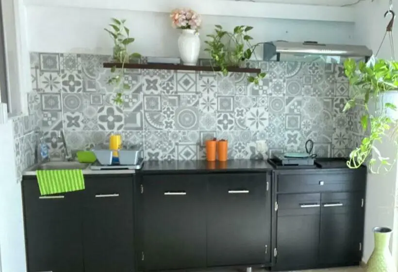Standard-huone, Suites Apodaca