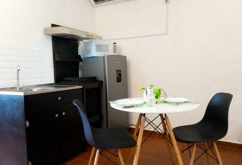 デラックスルーム, Suites Apodaca