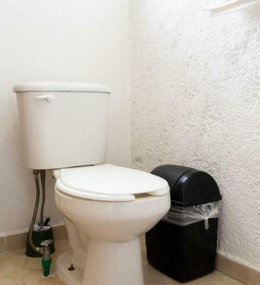 豪华房间, Suites Apodaca