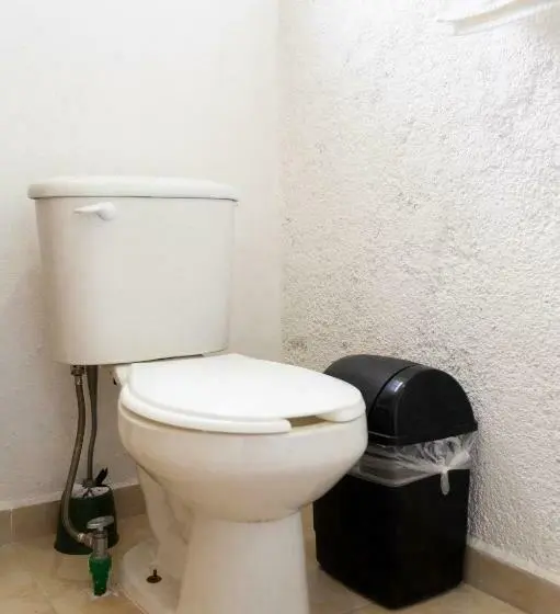 Deluxe-huone, Suites Apodaca
