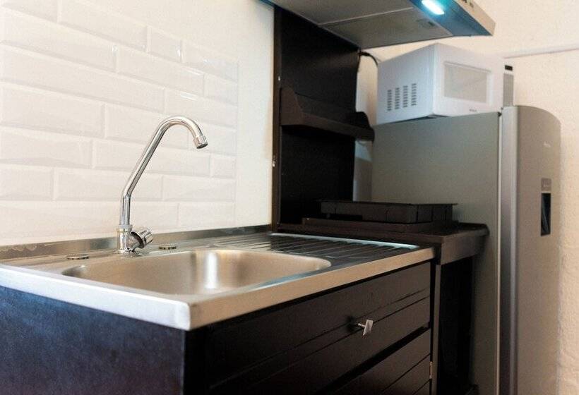 豪华房间, Suites Apodaca