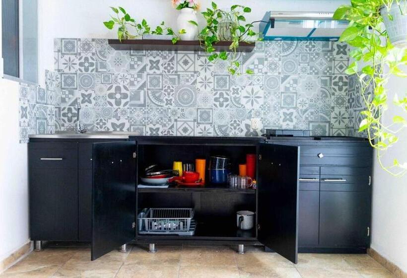 标准间, Suites Apodaca