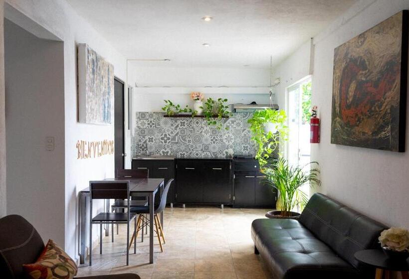 标准间, Suites Apodaca