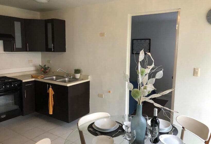 １ベッドルームアパートメント, Suites Apodaca