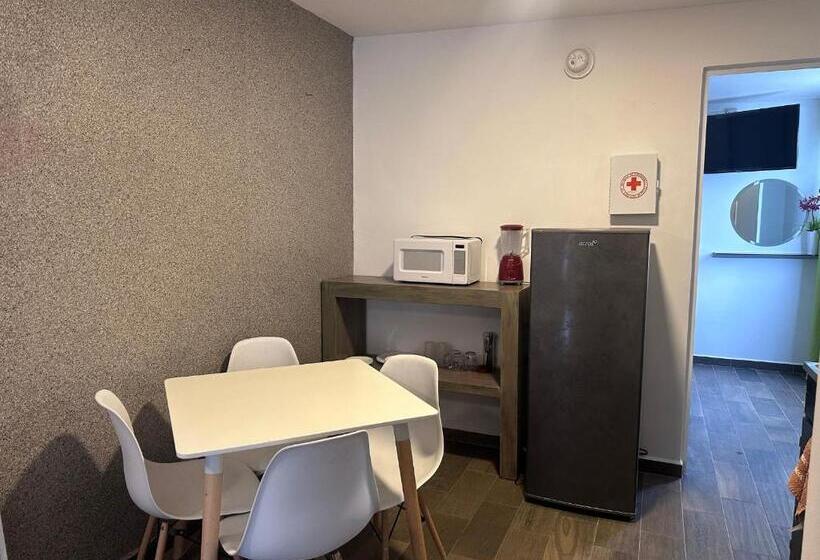 带1个卧室的高级公寓, Suites Apodaca