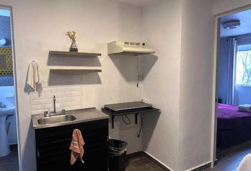 带1个卧室的高级公寓, Suites Apodaca