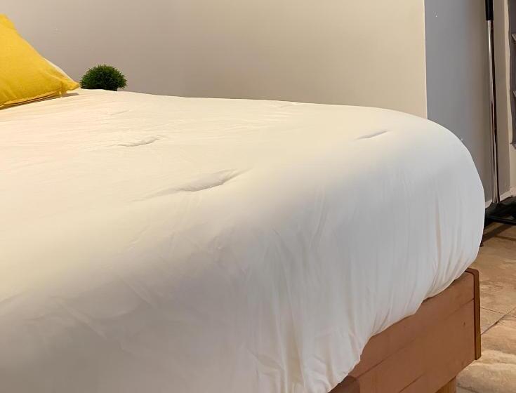 单人经济间, Suites Apodaca