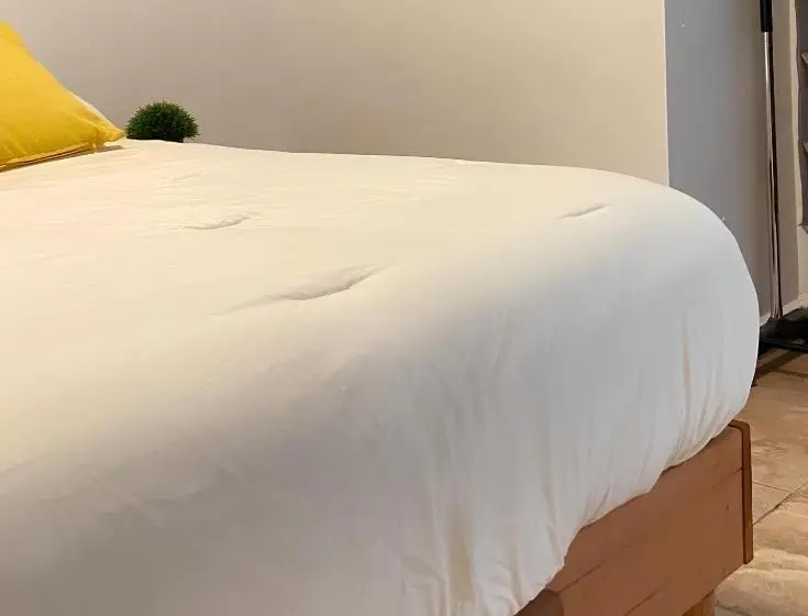 Economy Yhden Hengen Huone, Suites Apodaca