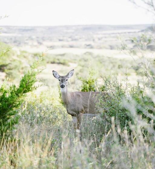 Хижина, Contigo Ranch Fredericksburg