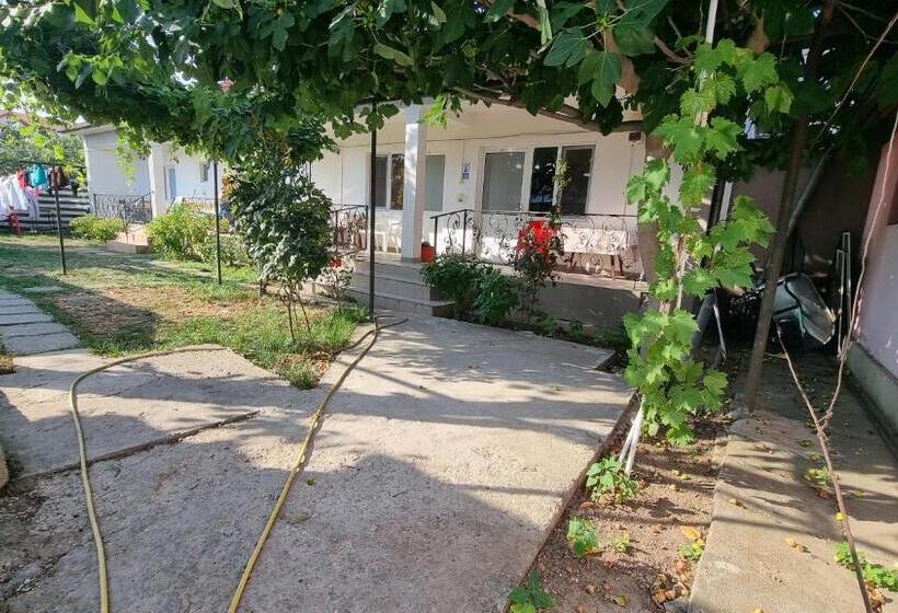 四人高级间, Casa Mititelu