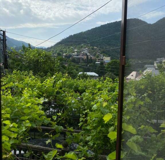 اتاق استاندارد سه نفره, Shota S Guest House