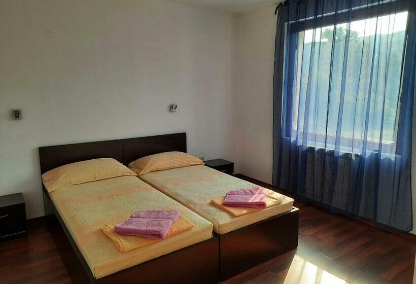 스탠다드 룸, Nice