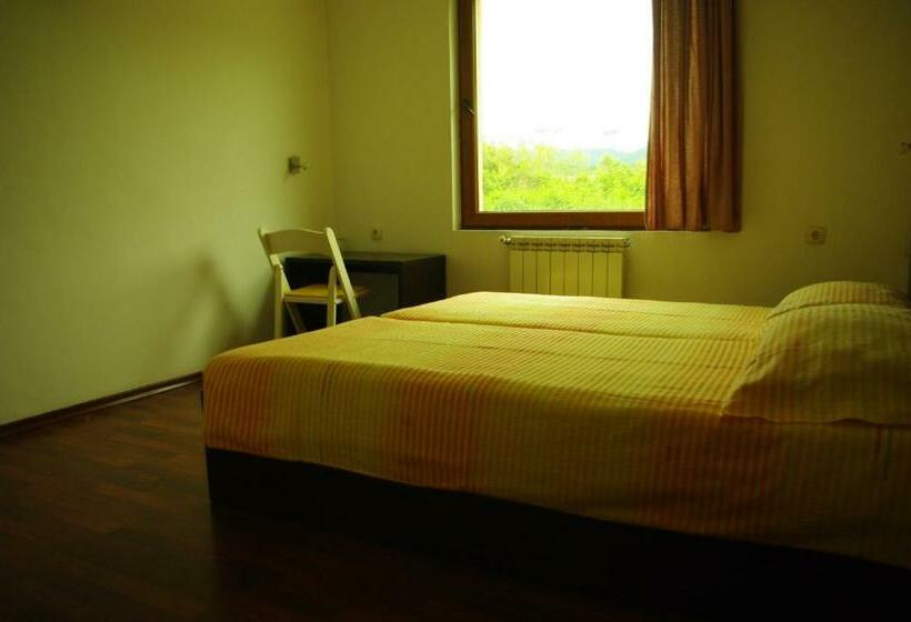 스탠다드 룸, Nice