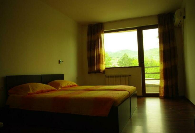 스탠다드 룸, Nice