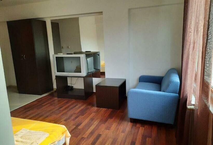 스탠다드 트리플 룸, Nice