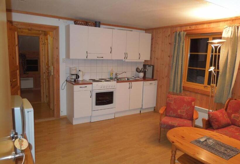 דירת חדר, Skjåk Turistheim