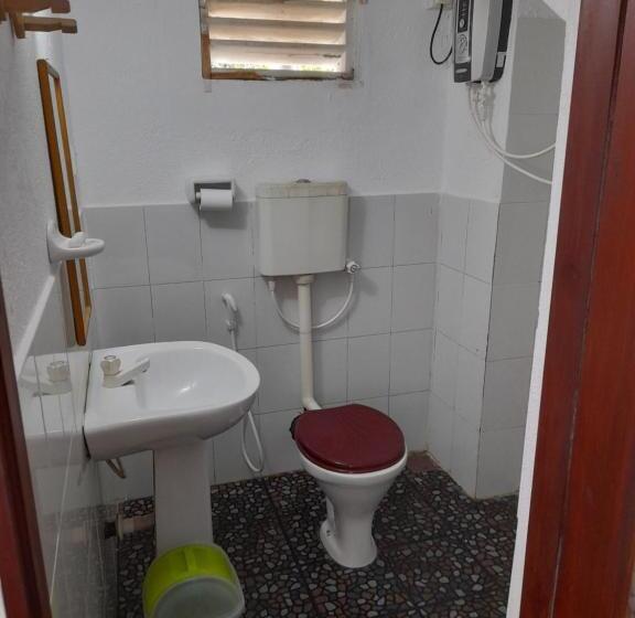 Quarto Basic, Shoba Traveller S Tree