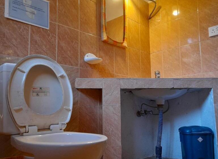 Quarto Estandar, Shoba Traveller S Tree