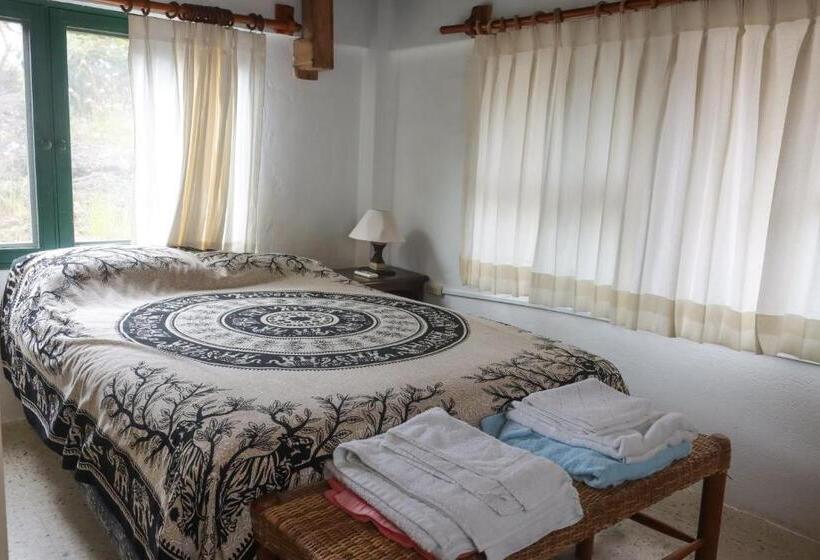 Standard Værelse, Galapagos Chalet