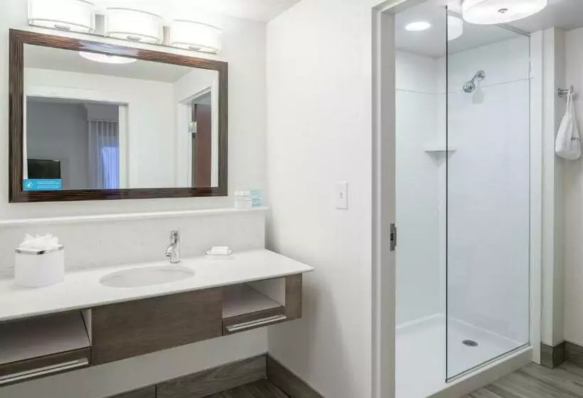 キングサイドベッドのスタンダードワンルーム, Hampton Inn & Suites By Hilton Atlanta Perimeter Dunwoody