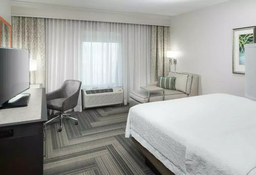 キングサイズベッドのスタンダードルーム, Hampton Inn & Suites By Hilton Atlanta Perimeter Dunwoody