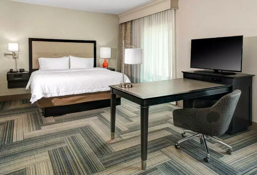 キングサイドベッドのスタンダードワンルーム, Hampton Inn & Suites By Hilton Atlanta Perimeter Dunwoody