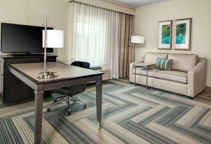 סטודיו סטנדרט, מיטה זוגית, Hampton Inn & Suites By Hilton Atlanta Perimeter Dunwoody