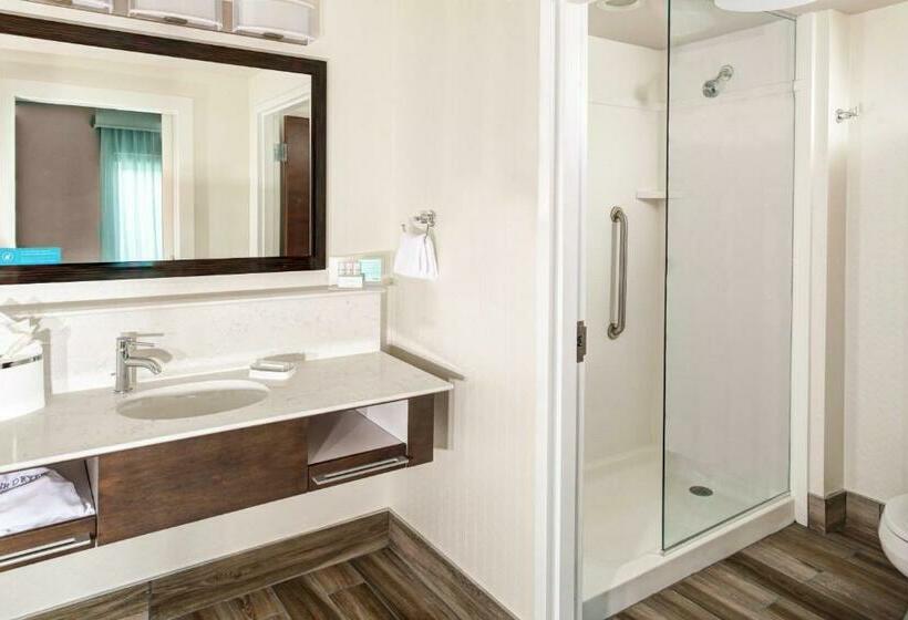 סטודיו סטנדרט, מיטה זוגית, Hampton Inn & Suites By Hilton Atlanta Perimeter Dunwoody