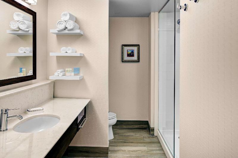 스탠다드 룸 킹사이즈 침대, Hampton Inn & Suites By Hilton Atlanta Perimeter Dunwoody