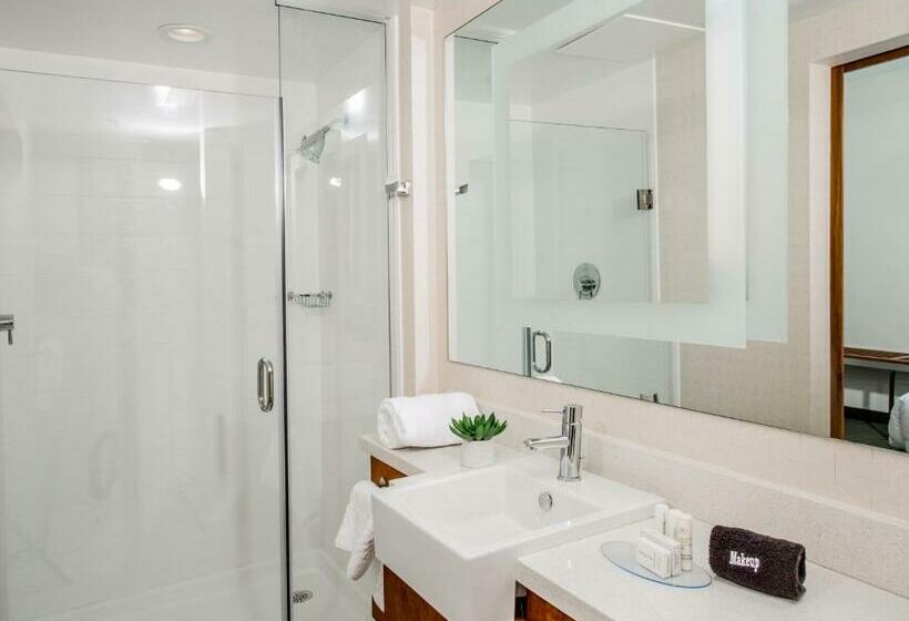 带大床的套房, Springhill Suites By Marriott Charleston Mount Pleasant