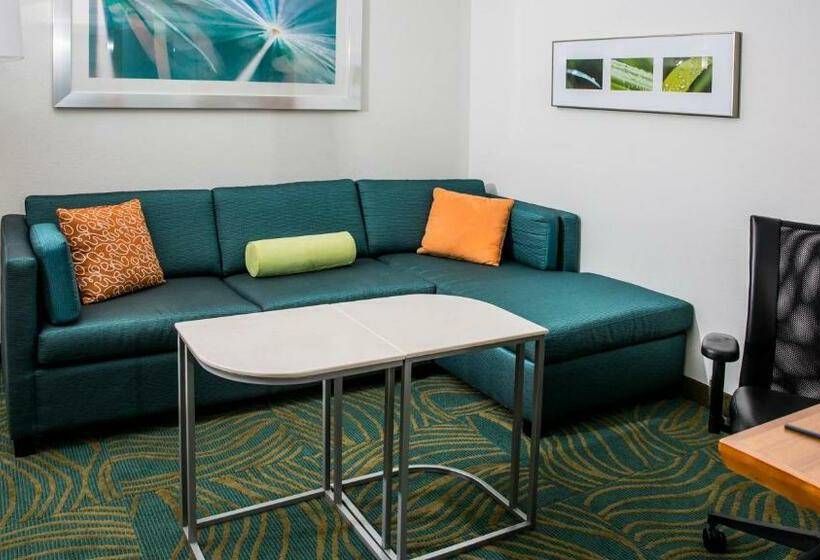 キングサイズベッドのスイートルーム, Springhill Suites By Marriott Charleston Mount Pleasant