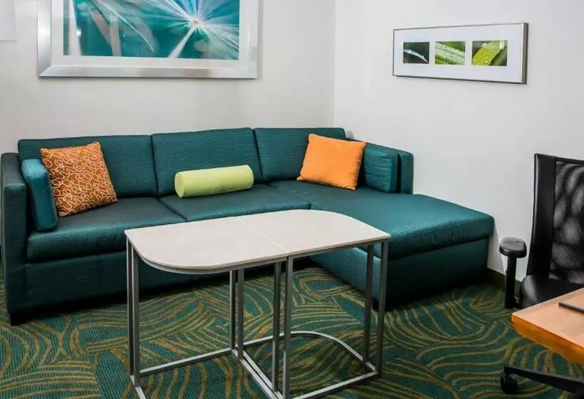スイート, Springhill Suites By Marriott Charleston Mount Pleasant