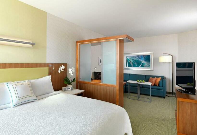 带大床的套房, Springhill Suites By Marriott Charleston Mount Pleasant