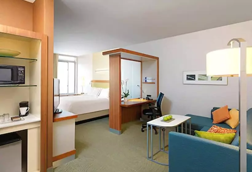 スイート, Springhill Suites By Marriott Charleston Mount Pleasant