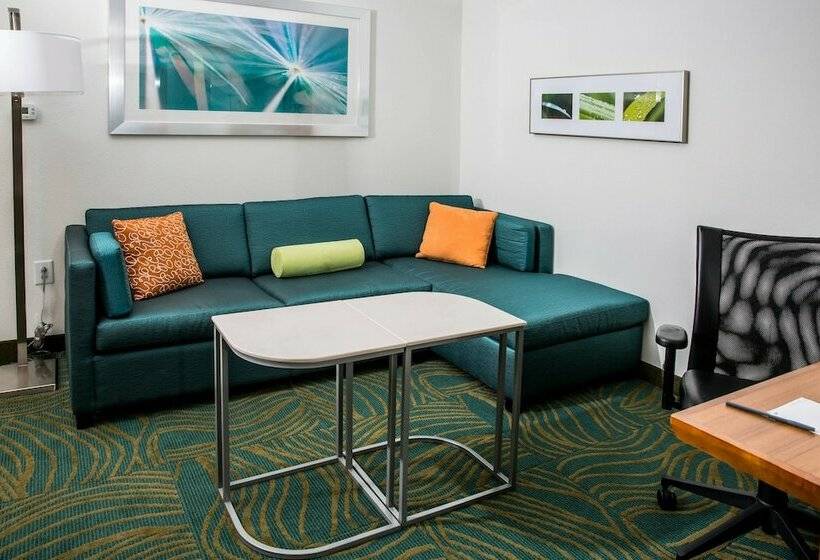 套房, Springhill Suites By Marriott Charleston Mount Pleasant