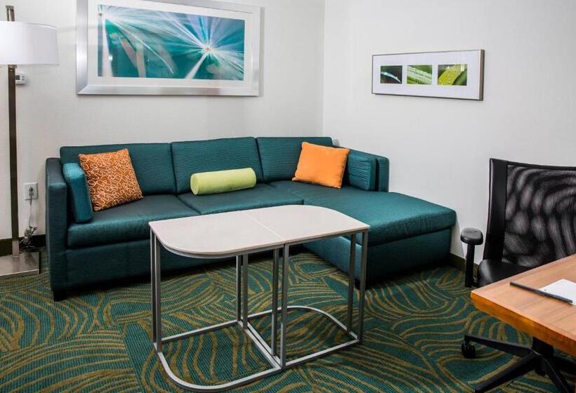 キングサイズベッドのスイートルーム, Springhill Suites By Marriott Charleston Mount Pleasant