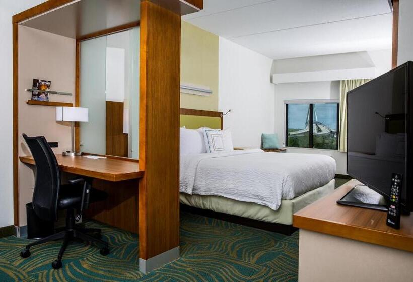 Люкс Кровать Кинг, Springhill Suites By Marriott Charleston Mount Pleasant