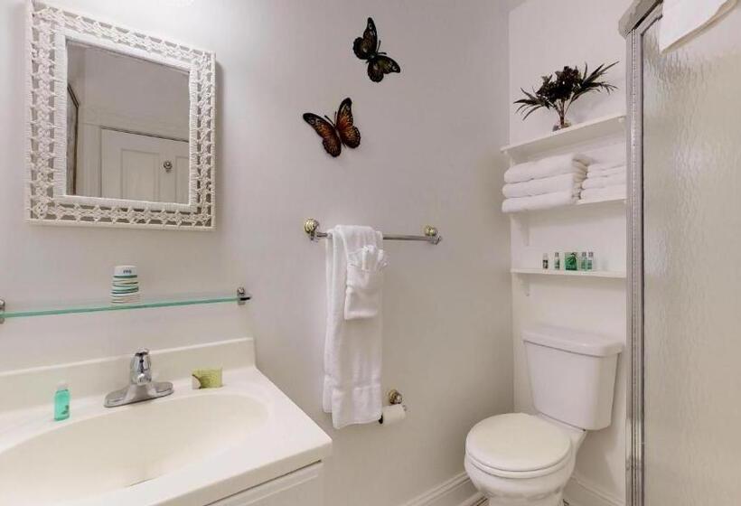 غرفة قياسية سرير كينج, The Ocean Plaza