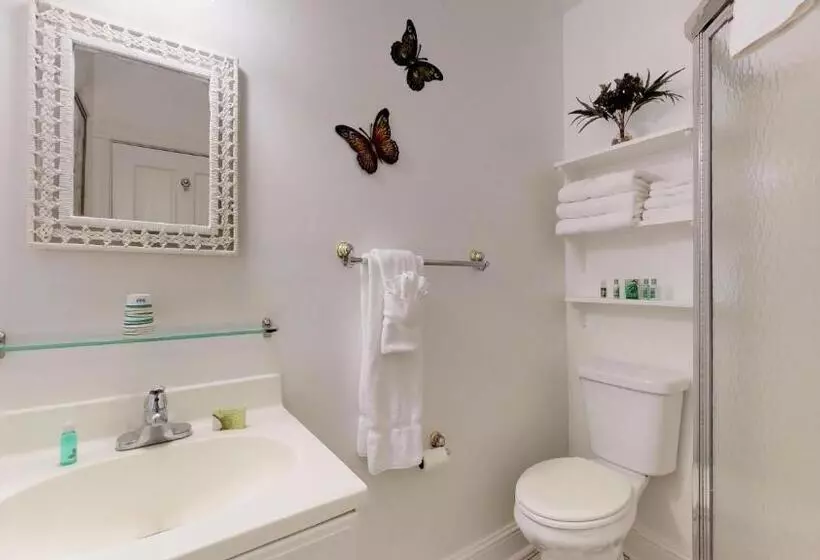 キングサイズベッドのスタンダードルーム, The Ocean Plaza