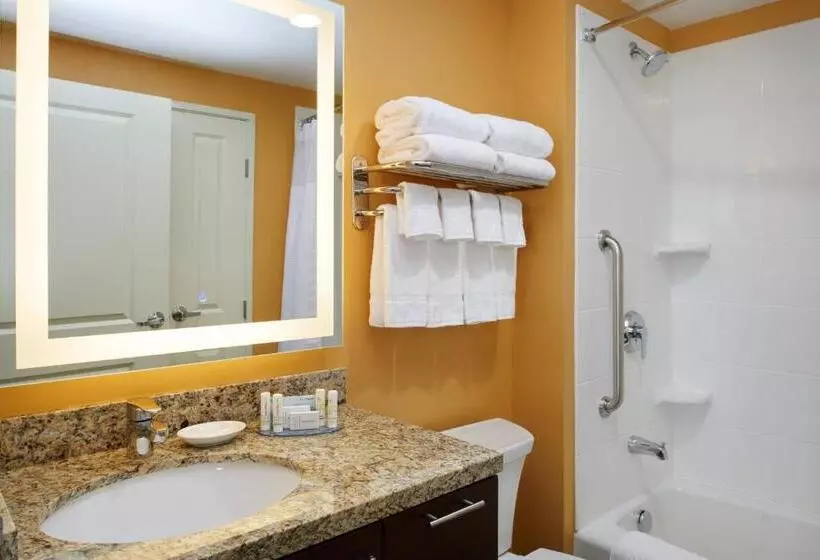 キングサイドベッドのスタンダードワンルーム, Towneplace Suites By Marriott Detroit Troy