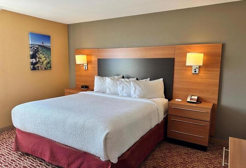 キングサイドベッドのスタンダードワンルーム, Towneplace Suites By Marriott Detroit Troy