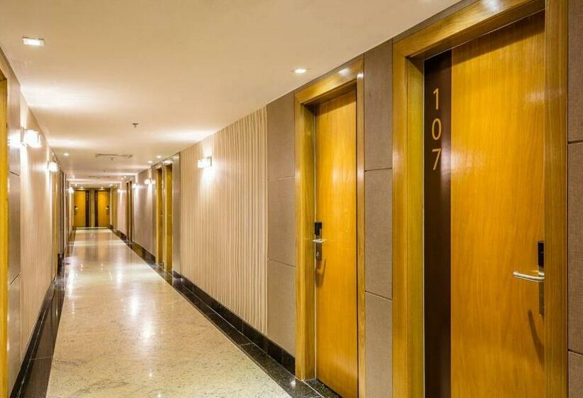 Quarto Estandar, Vox