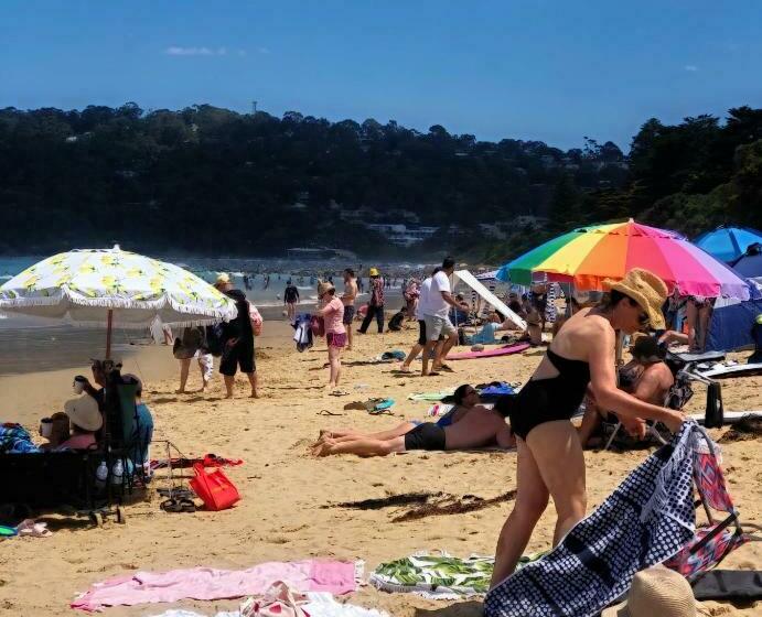 침실 1개 아파트, Lorne Surf Apartments