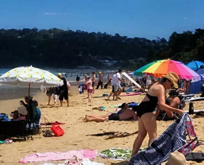 １ベッドルームアパートメント, Lorne Surf Apartments