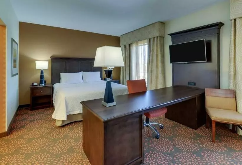 Standard-studio King-vuode, Hampton Inn & Suites Hartsville