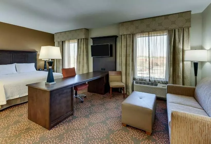Standard-studio King-vuode, Hampton Inn & Suites Hartsville