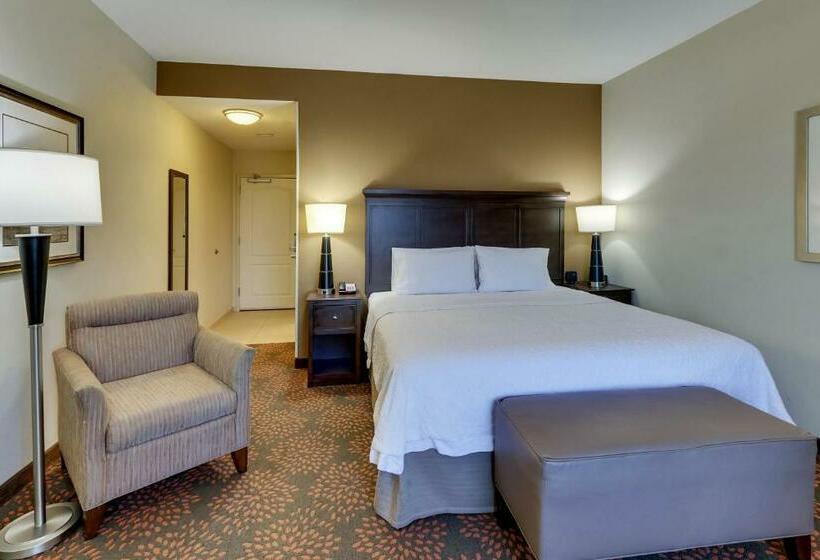 Стандартный Номер Кровать Кинг, Hampton Inn & Suites Hartsville